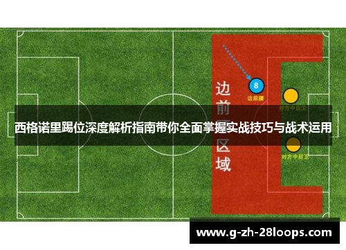 西格诺里踢位深度解析指南带你全面掌握实战技巧与战术运用