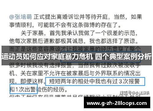 运动员如何应对家庭暴力危机 四个典型案例分析