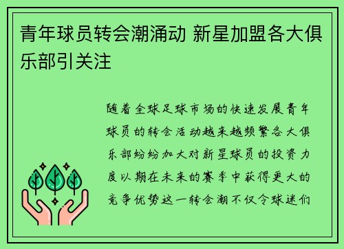 青年球员转会潮涌动 新星加盟各大俱乐部引关注 青年球员转会潮涌动 新星加盟各大俱乐部引关注