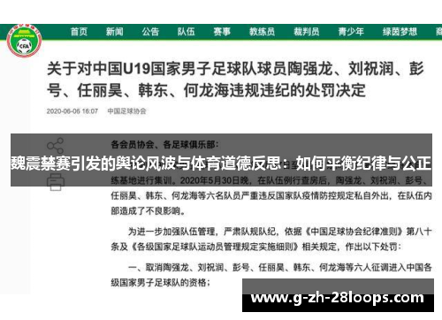 魏震禁赛引发的舆论风波与体育道德反思:如何平衡纪律与公正 魏震禁赛引发的舆论风波与体育道德反思:如何平衡纪律与公正